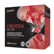 Creatina vector 20 bustine 8g