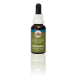 Creative ess 30ml