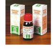 Crema artiglio diavolo 35%