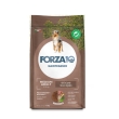 Crocchette medium-adult maintenance agnello - alimento completo per cani adulti 12 kg