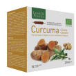 Curcuma cicoria zenz bio 15ab