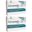 Curcumidol fast 15 capsule 2x11,45 g