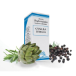 Cynara lindas gocce 50ml