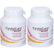 Cystocure forte barattolo 30 compresse set da 2 2x30 pz