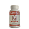 Dab 007 phyllanthus+ 60 compresse