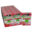 Daygum protex fragola gel chewing-gum 30g daygum