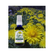 Dente di leone olio biodin60ml
