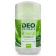 Deonaturals stick con aloe100g