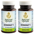 Dermomap v 60 compresse 30 g