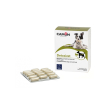 Detoxivet 60 compresse