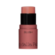 Diego dalla palma - all in one blush - stick multiuso n.42 salmone