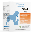 Digea f small 20 bust.1g