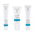 Dr. hauschka crema per il viso erba cristallina + trattamento labb