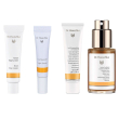 Dr. hauschka latte detergente + lozione tonificante crema alla rosa