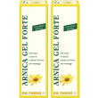 Dr. theiss arnica gel forte con 15% tintura all arnica set da 2 2x100