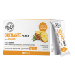 Dr viti drenante forte ananas 28 stick pack senza zuccheri