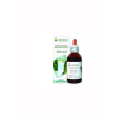 Drenil oil 100ml