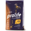 Dualfresh adult mini al bufalo agnello & riso - alimento completo per cani adulti di taglia piccola 2 kg