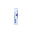 Dulcamara 30h 80gr 4g