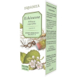 Erbamea echinacea angustifolia radice estratto idroalcolico biologico 1:5 50 ml