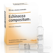 Echinacea compatta s 10f 2,2mlheel