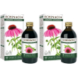 Echinacea estratto integrale 200 ml 2x200 ml soluzione orale