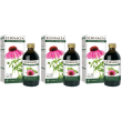 Echinacea estratto integrale 200 ml 3x200 ml soluzione orale