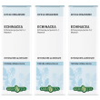 Echinacea radice soluzione idroalcolica 3x50 ml