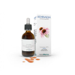 Echinacea sol ial 50ml