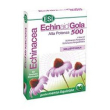 Echinaid gola menta liquirizia 30t