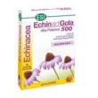 Echinaid gola miele 30 tavolette