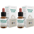 Ecosol quintessenza di cannella gocce 2x10 ml orali