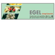 Egel crema lipsomiale 40ml