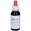 Eie galanga 60ml