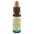Elm 10ml di leo