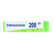Enterococcinum 200ch gl