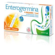 Enterogermina 4 miliardi fermenti lattici sospensione orale 10 flaconcini da 5 ml