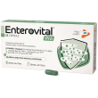 Enterovital pro integratore di fermenti lattici vivi ad azione probiotica 15 capsule