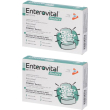 Enterovital restore 10 bustine 2x25 g polvere per soluzione orale