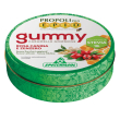 Epid gommose zenzero 40g