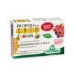 Propoli plus epid junior benessere della gola 30 compresse masticabili con succo di lamponefragola e mirtillo ricco di vitamina c