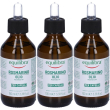 Equilibra olio di rosmarino capelli 3x100 ml