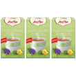Equilibrio alcalino 17 bustine filtro 3x35,7 g