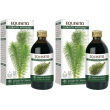Equiseto estratto integrale 200 ml set da 2 2x200 ml soluzione orale