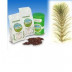 Equiseto sommita tt 1000 g