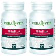Erba vita boswellia set da 2 2x24 g capsule