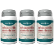 Erba vita crisantello americano capsule 3x30 g