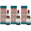 Erba vita lavanda olio essenziale 3x10 ml