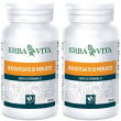 Erba vita olio di fegato merluzzo set da 2 2x45,3 g perle