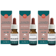 Erba vita olio essenziale di rosmarino integratore alimentare 3x10 ml